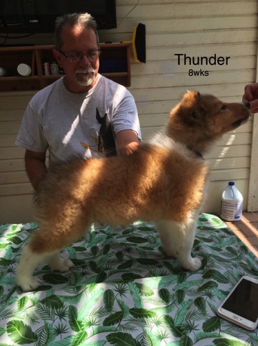 THUNDER 8WKS THUNDER 8WKS